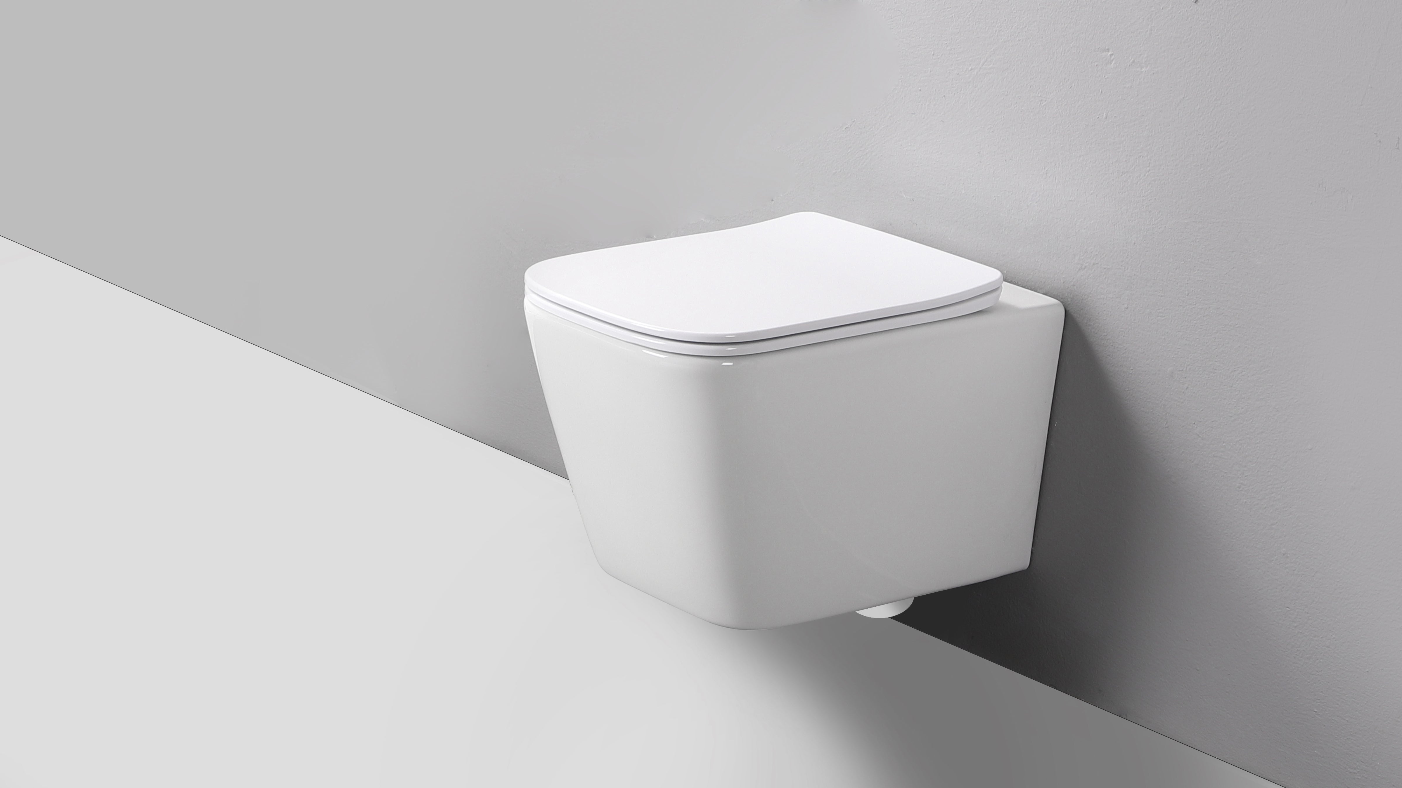 RICO WALL HUNG TOILET PAN & SEAT